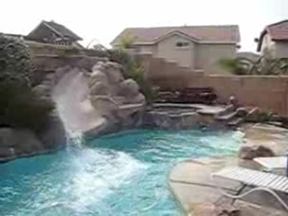 swiming dog