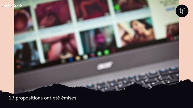 23 propositions pour encadrer le milieu toxique du porno présentées au Sénat