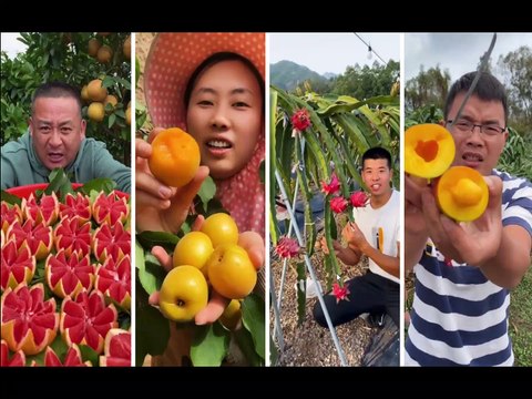 Pineapple Farming | dragon fruits | strawberry | guava fruits | small apple | red orange