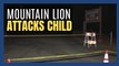 Mountain lion attacks 7-year-old