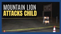 Mountain lion attacks 7-year-old