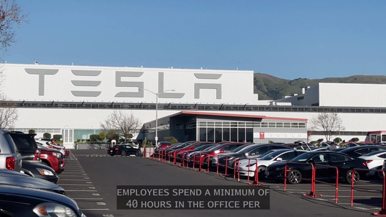 Tesla Struggles With Return To Work Policy