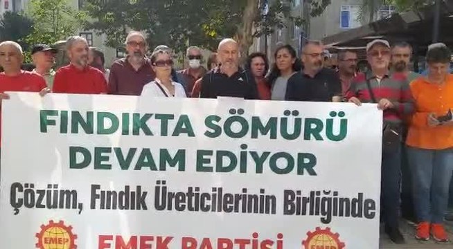 Ordu haberleri | Ordu'da Fındık Üreticilerinin Sorunlarına Dikkat Çekildi: İktidar ve Fındık Tekelleri Her Yıl Aynı Oyunu Oynuyor