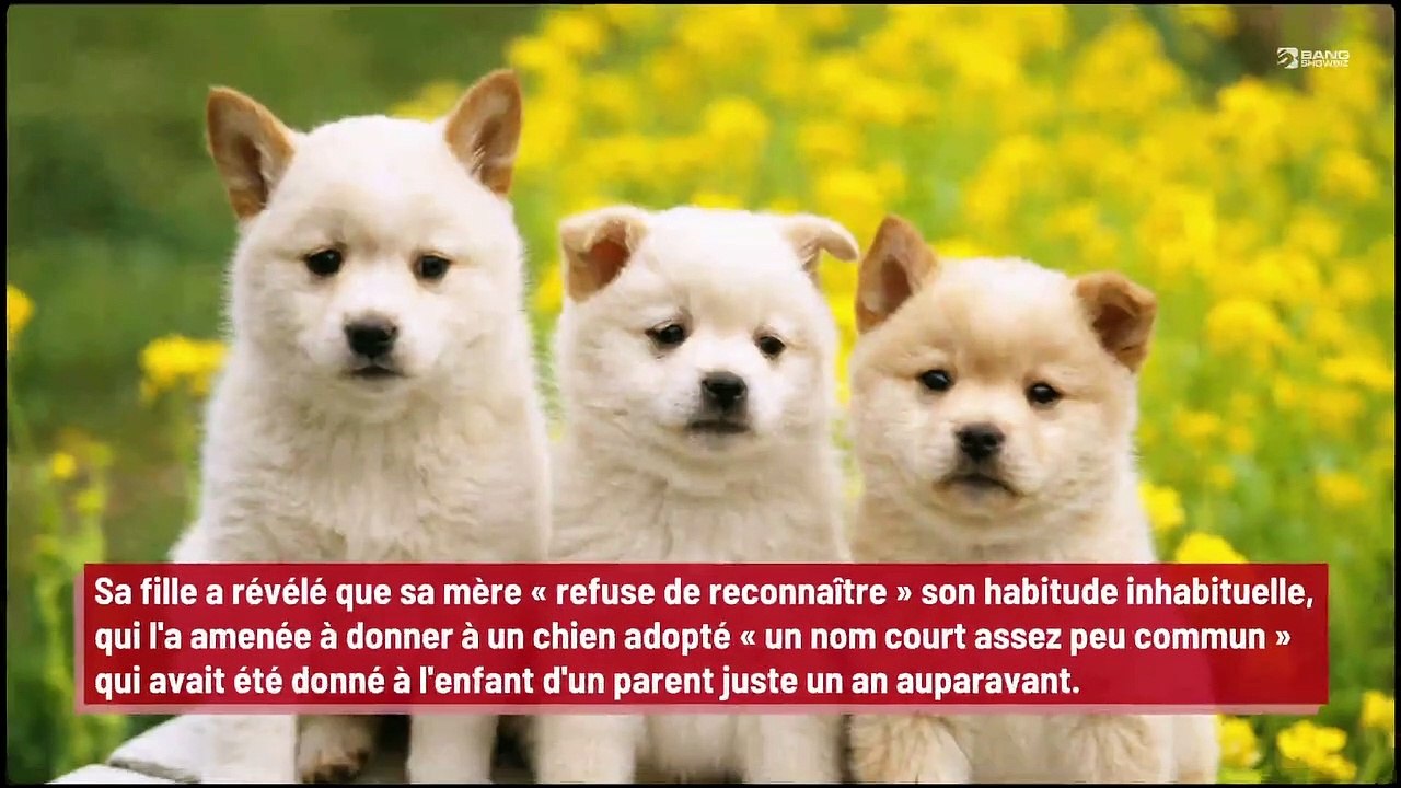 'Appelle ton satané chien Sprinkles ou Nugget' : Une maman vole des noms de bébés pour les donner à ses animaux de compagnie !
