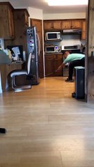 A True Canadian Extermination