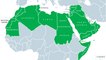 Quel est le rôle de la Ligue arabe ?
