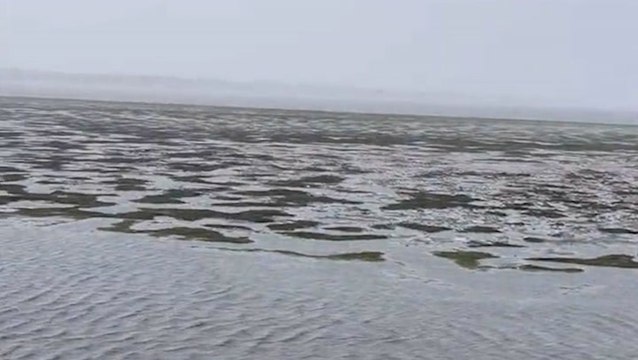 Low water levels at Tampa Bay's shores