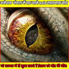 अमेजन जंगल के जंगल में पाए जाने पांच सबसे खतरनाक सांप, जो पलभर में ही सुला सकते हैं इंसान को मौत की नींद!