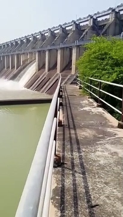 video जलस्तर बढऩे के बाद बाणसागर डैम के 3 गेट खोले गए