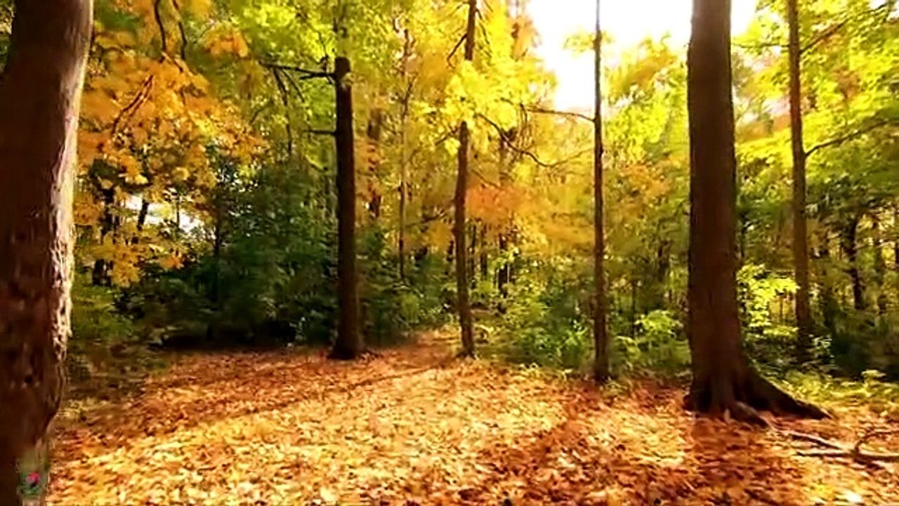 Musique relaxante qui guérit le stress, l'anxiété et les états dépressifs, guérit l'esprit