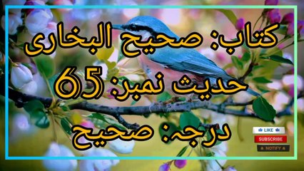 Sahih Bukhari Hadees No.65 _ Hadees Nabvi in Urdu _ Bukhari Hadees _ Bukhari Shareef in Urdu