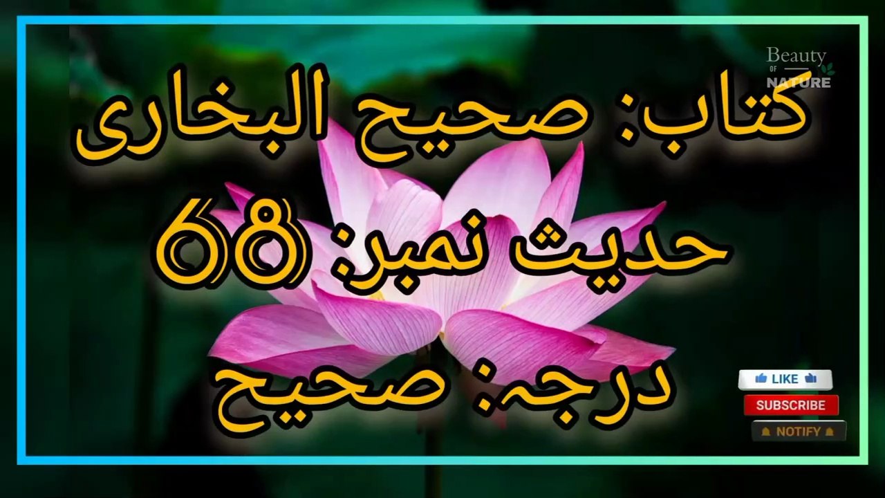 Sahih Bukhari Hadees No.68  Hadees Nabvi in Urdu  Bukhari Hadees  Beauty of NatureAR