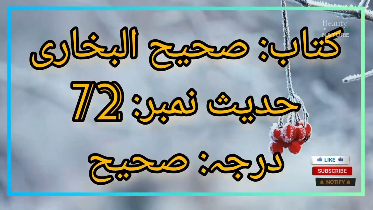 Sahih Bukhari Hadees No.72 Hadees Nabvi in Urdu  Bukhari Hadees  Beauty of NatureAR