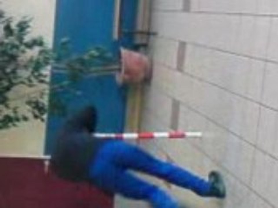 steeve toupie