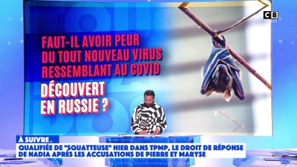 Faut-il avoir peur du nouveau virus ressemblant au Covid découvert en Russie ?