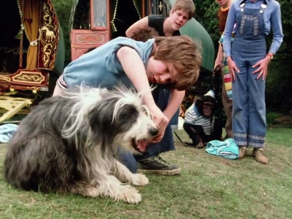 Fünf Freunde Staffel 1 Folge 6 HD Deutsch