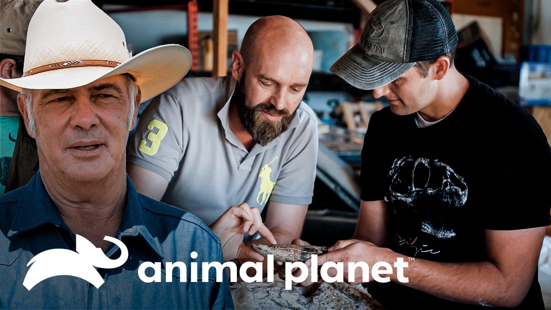 Mike tenta vender fósseis de um Tiranossauro Rex | Caçadores de Dinossauros | Animal Planet Brasil