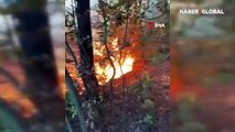 Beykoz'da korkutan orman yangını!