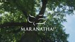 Maranatha! Music - Stand In Your Love