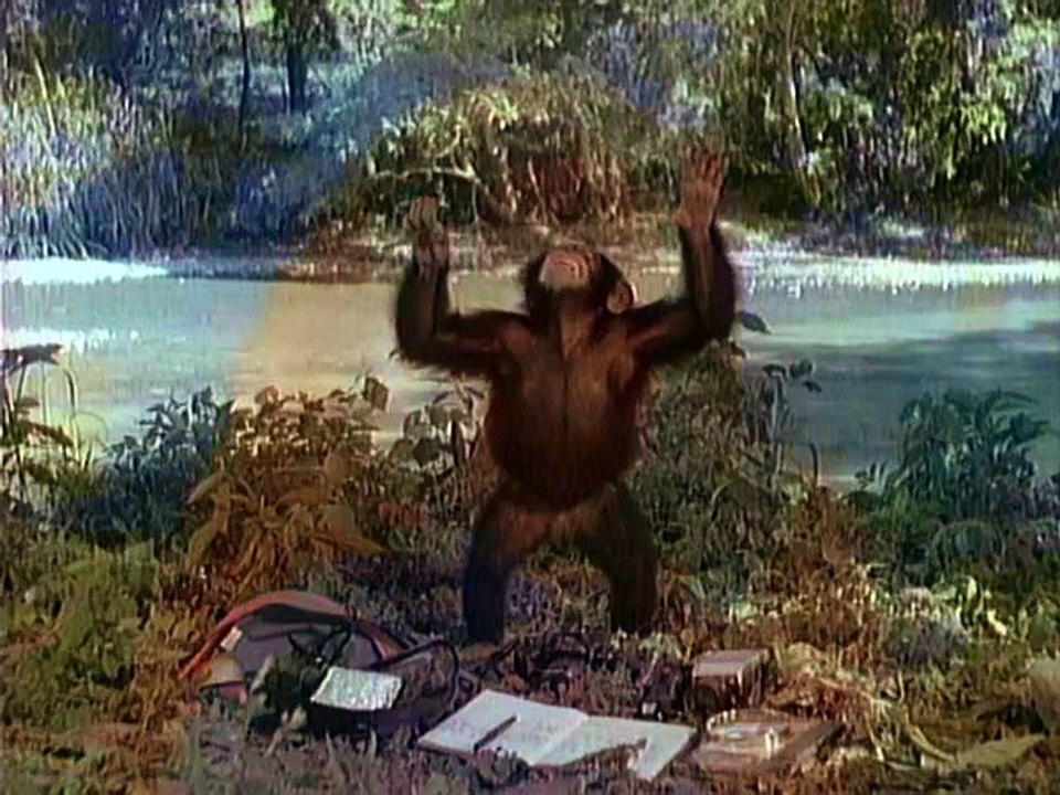 Tarzan (1991) Staffel 1 Folge 12 HD Deutsch