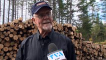 Des producteurs forestiers bas-laurentiens inquiets de la baisse du prix du bois