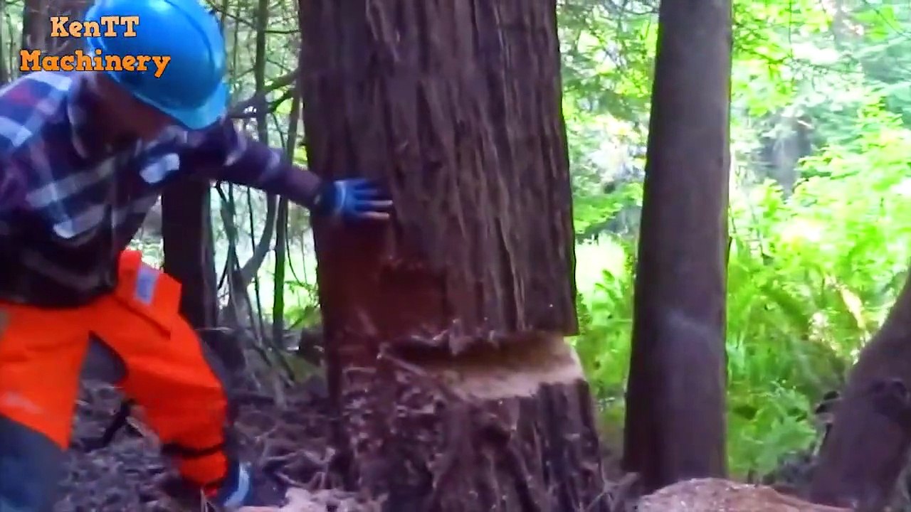 Amazing Fastest Skill Cutting Big Tree ChainSaw Machines-Incredible ...