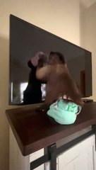 i earned dinner ! Cleaning with drawers makes everything shine