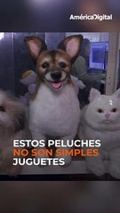 Peluches para recordar a tu mascota: una forma diferente de sobrellevar la ausencia