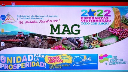 Nicaragua con números positivos en la producción agrícola