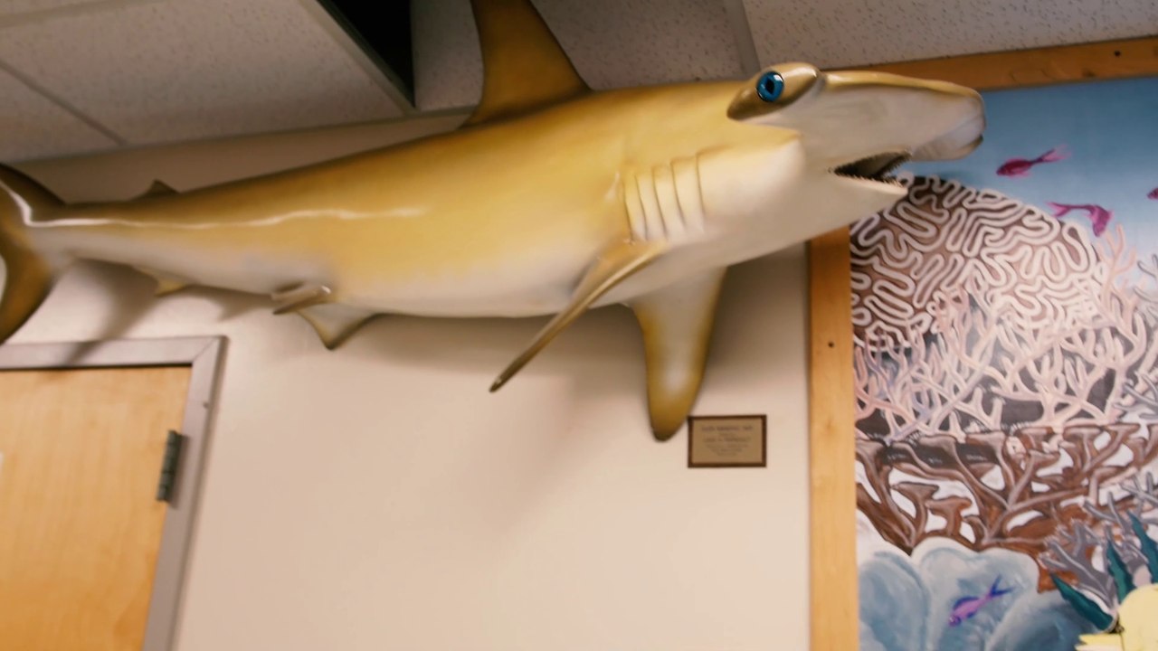 The Northern Maine "Museum" of Science -- It's just a hallway in a classroom building - Totally Not Worth It