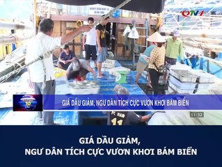 Giá dầu giảm, ngư dân tích cực vươn khơi bám biển