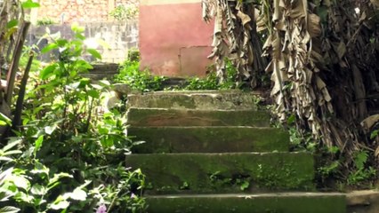 LANDSLIP THREATENS DIBE HOMES