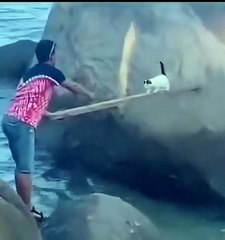 Humanity - Man saves kitten