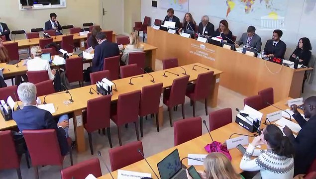 Commission des affaires étrangères : Table ronde sur les enjeux internationaux de la problématique du climat - Mercredi 28 septembre 2022