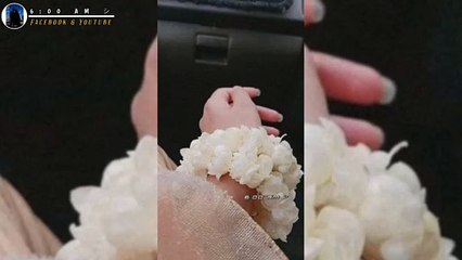 Prottekta Meyer e valobasa egulo status Video |