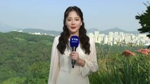 [날씨] 답답한 하늘, 서울 초미세먼지 '나쁨'...낮 동안 늦더위 / YTN