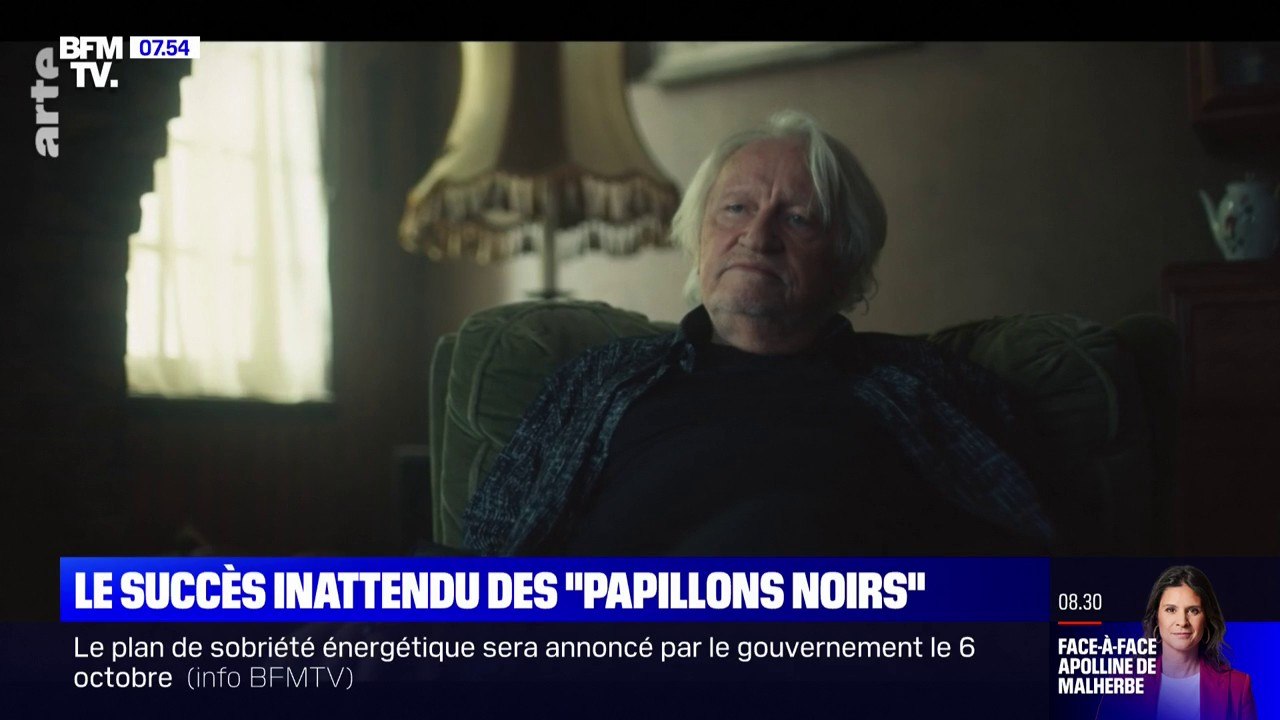 "Les Papillons noirs", l'étonnante série qui ca...