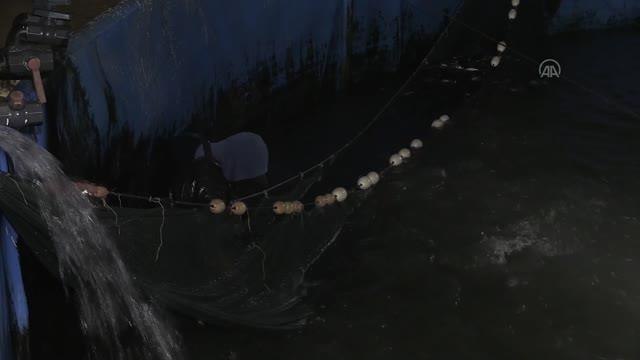 Gazze'de balıkçılar 1,5 aylık aranın ardından Batı Şeria'ya balık satışına başladı