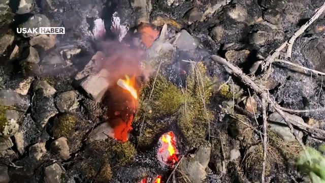 Uşak'ta ormanlık alanda çıkan yangın kontrol altına alındı