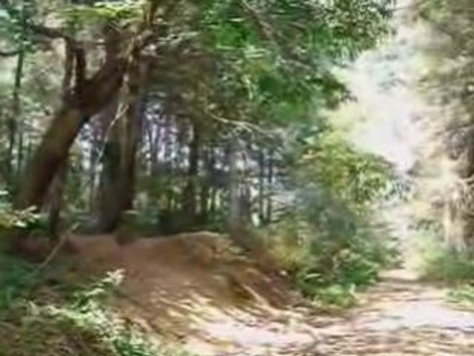 vtt freeride 2007