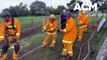 CFA crews rescue Kyneton cow submerged in mud | September 29, 2022 | Bendigo Advertiser