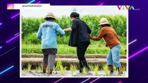 Teknik Bertanam Padi Versi Puan Jalannya Maju Padahal Mundur