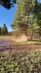 Jeep glisse dans la boue et s'écrase dans un arbre - Buzz Buddy