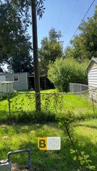 Le chien patron penny saute la clôture pour récupérer le bâton - Buzz Buddy