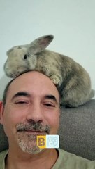 Le lapin aide à garder le cuir chevelu propre - Buzz Buddy