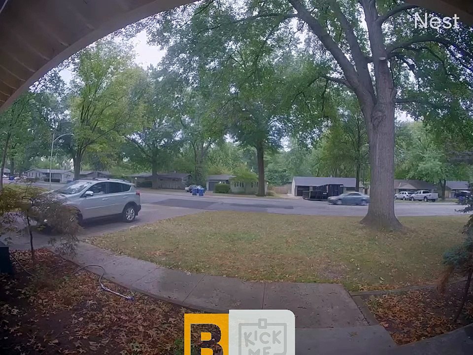 La caméra de la sonnette capte l'appel rapproché de la voiture avec la chute d'une branche d'arbre - Buzz Buddy