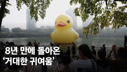 "이번엔 흥행 두 배"…석촌호수 러버덕에 사람들 열광하는 까닭
