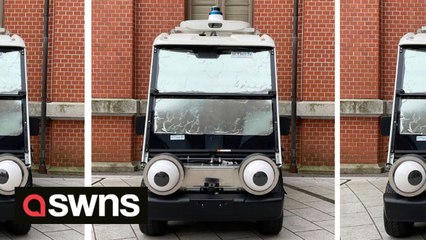 Pixar-style cars with eyes could prevent road deaths according to study