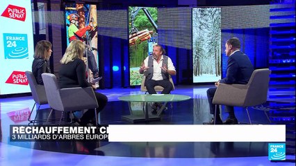 Réchauffement climatique : trois milliards d’arbres européens, vite !