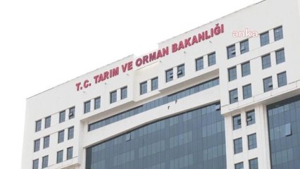 Sayıştan Raporu: Tarım ve Orman Bakanlığı'nın Banka Hesapları Uygun Raporlanmadı, Muhasebe Yetkilisinin Kontrolü Dışında Hesap Açıldı, Döviz Mevcudu...
